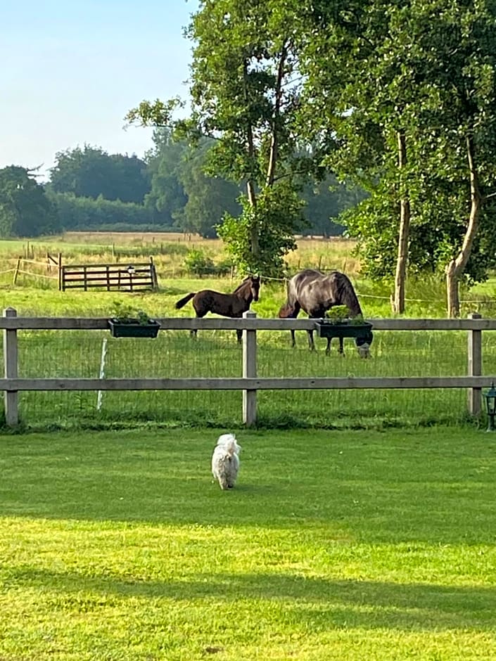 aan de Leijen