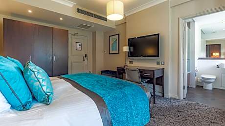 Deluxe Double or Twin Room with Park View