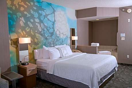 Deluxe King Suite