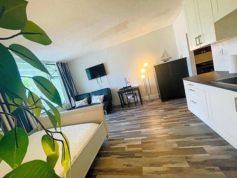 TAMPA BAY, BEACH step away, WIFI, FREE PARKING,POOLS, JACUZZI