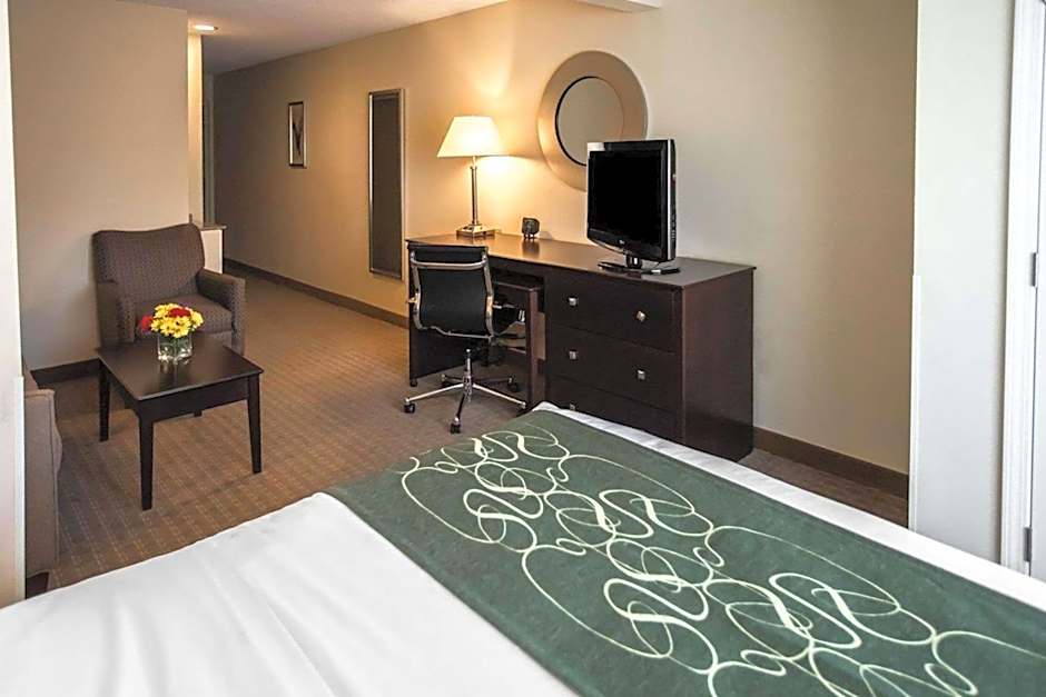 Comfort Suites University Area