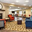 Comfort Inn & Suites Paw Paw