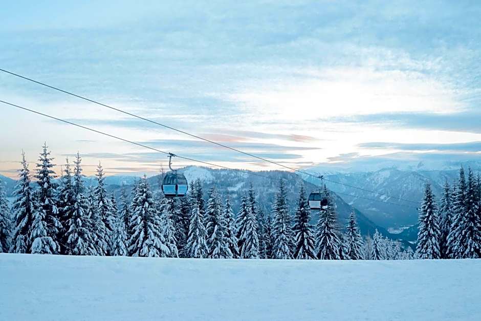 AKTIVHOTEL Weisser Hirsch