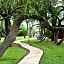 Live Oaks Bed and Breakfast