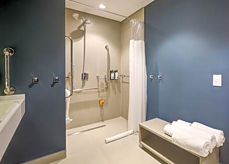 DOUBLE SUPERIOR HANDCAPPED