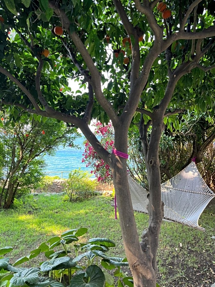 Nelinda Waterfront Accommodation