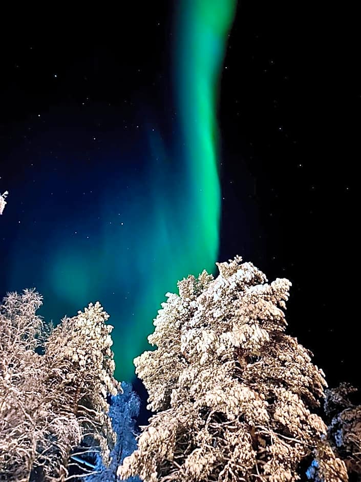 Arctic Shaman Adventures -Jurtta