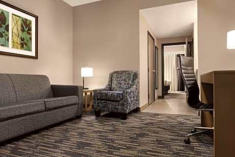 One-Bedroom Queen Suite - Non-Smoking