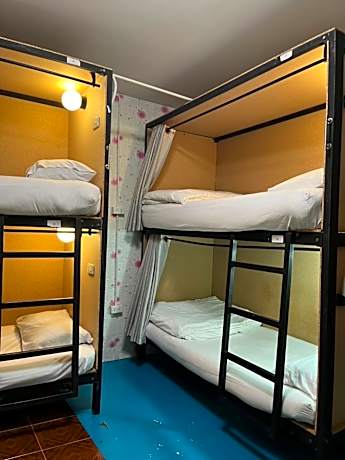 Bed in 6-Bed Dormitory Room
