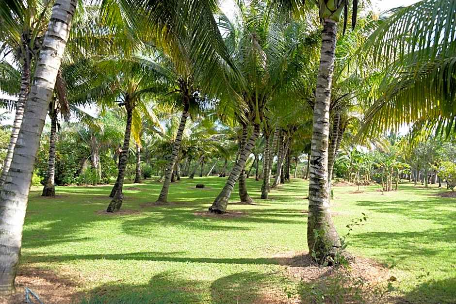 Domaine des Oiseaux Réunion