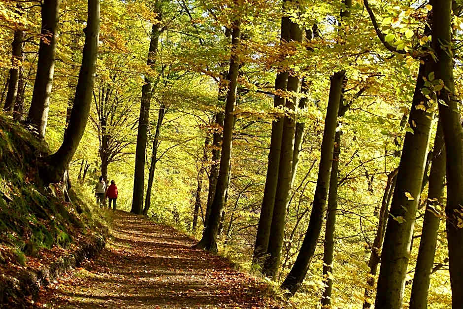 Hotel & Gasthof Garküche