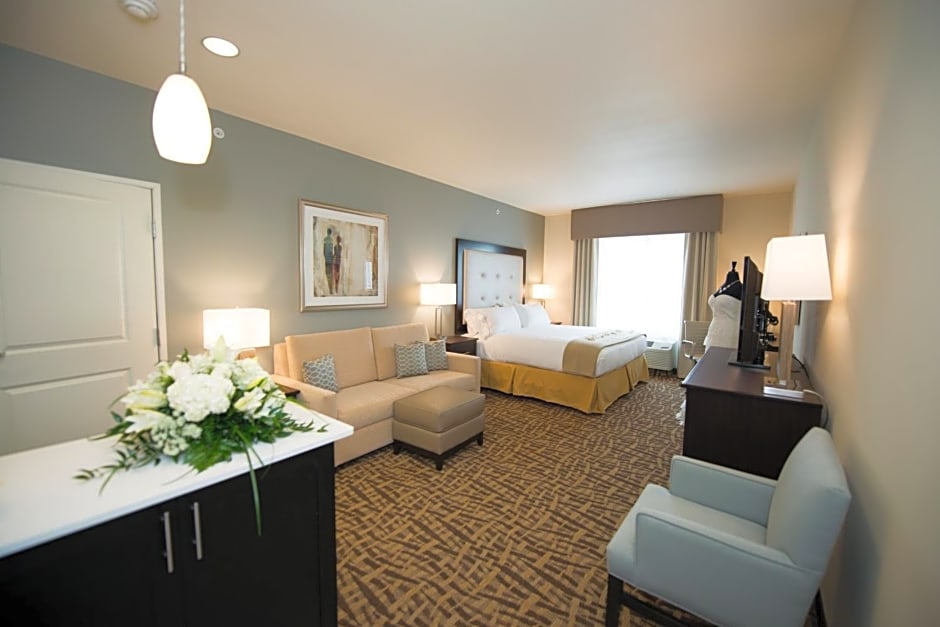 Holiday Inn Express & Suites Denver South - Castle Rock By IHG