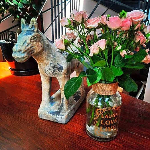 Caballus Lovasmajor Panzió