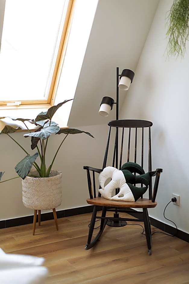 Urban Jungle Apartments