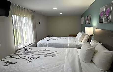 1 King Bed, 2 Queen Beds, Efficiency, Suite, Nonsmoking, Accessible