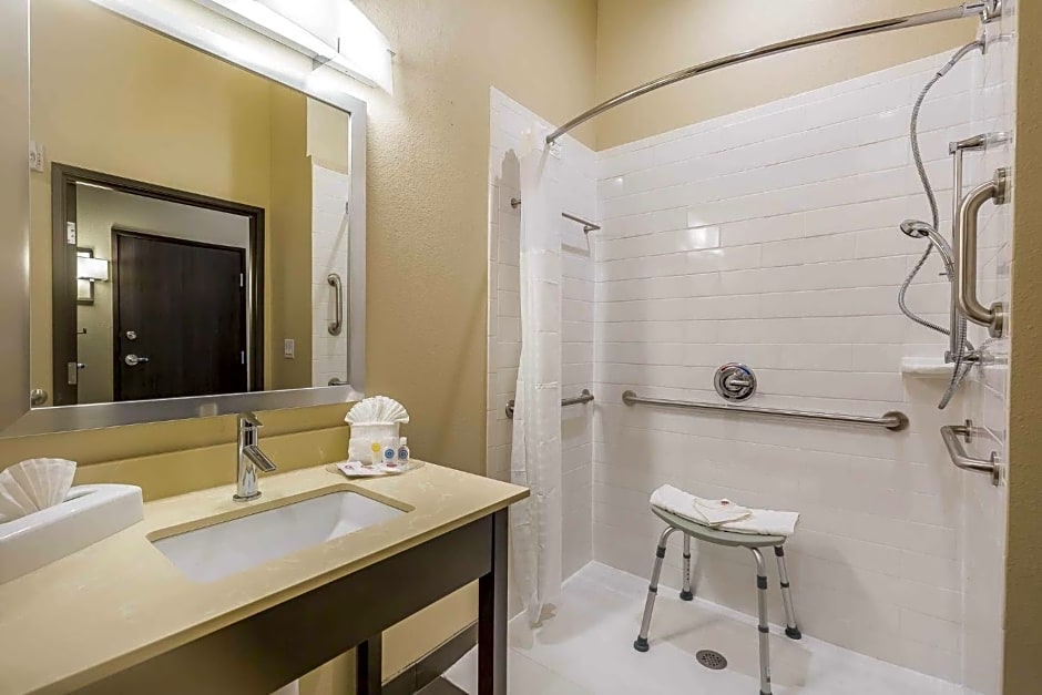 Comfort Suites Near Sam Houston Race Park
