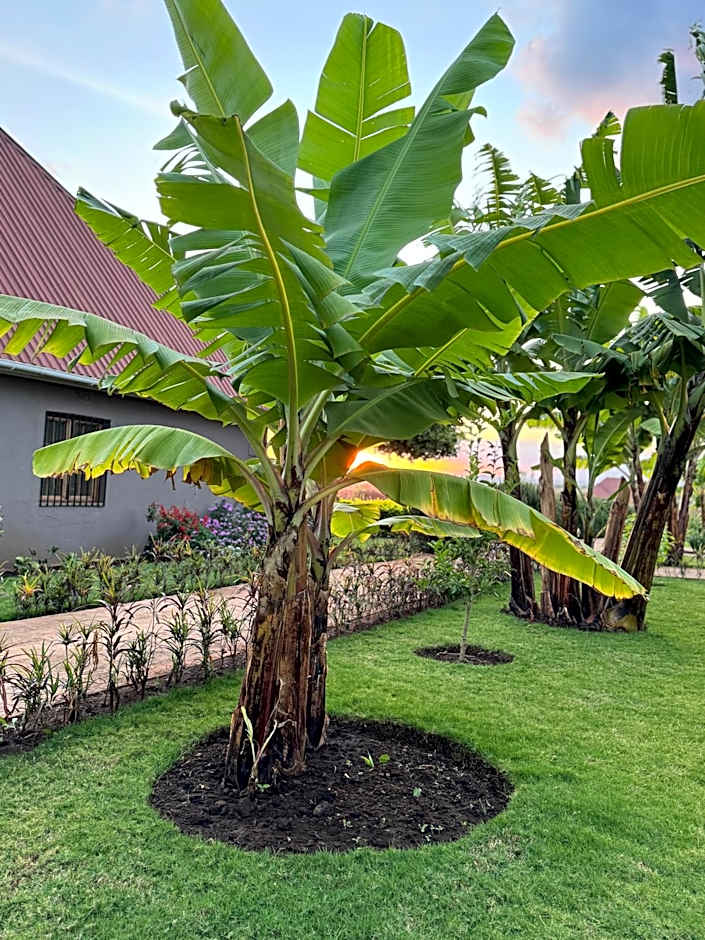 Heart and Soul Lodge