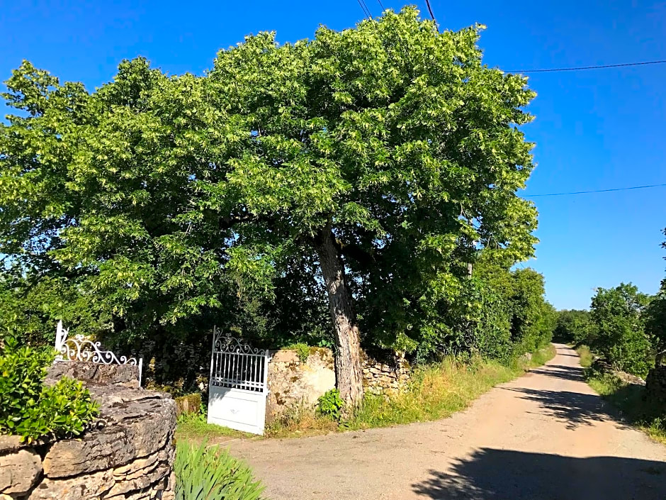 Chambres d'hôtes Pech Blanc