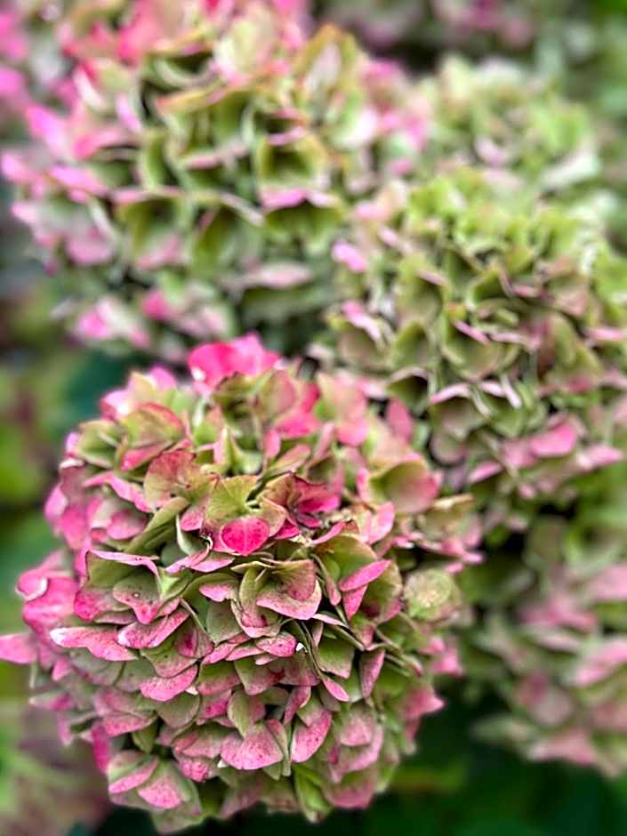 Bed & Breakfast Yerseke