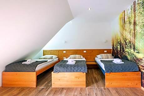 Economy Triple Room