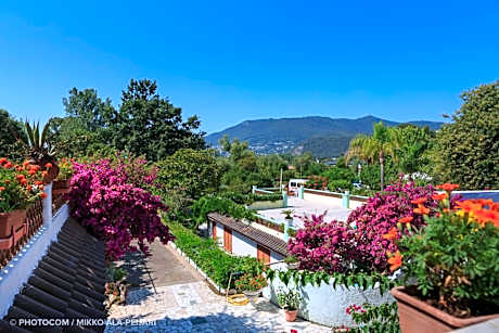 Centro Ferie Salvatore