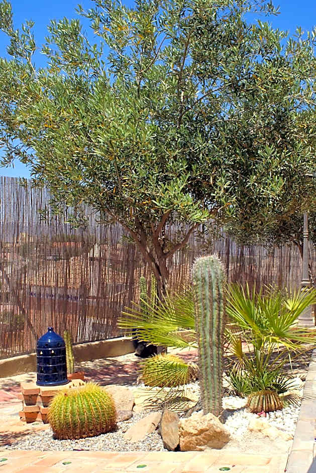 Hotel Mayarí Boutique Hotel