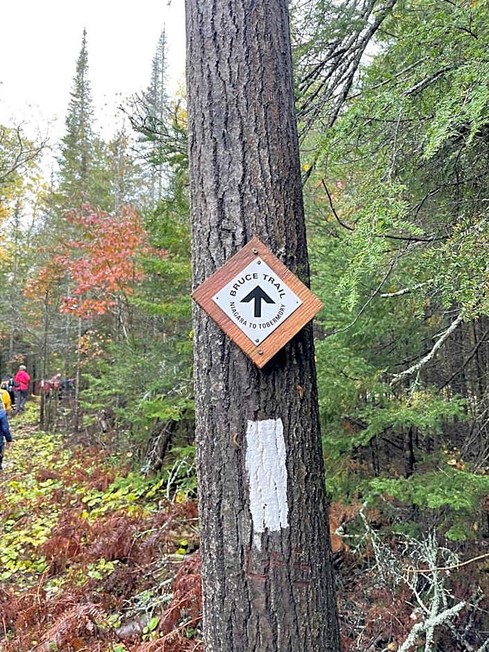 TGIF - Serene Waterfront Retreat