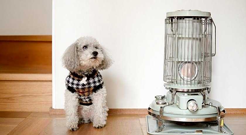 Guest House Grape House Koenji - Female Only 