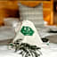 Hlosi Game Lodge - Amakhala Game Reserve