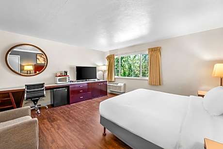 Efficiency Queen Room - Non-smoking