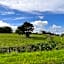 Oakenholt Farm Bed and Breakfast