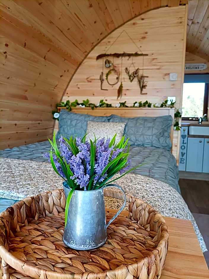 Sea Crest Pods Rossnowlagh