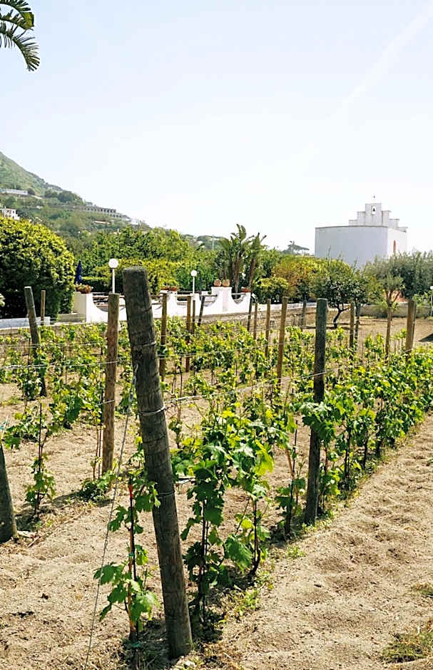 Residence San Domenico