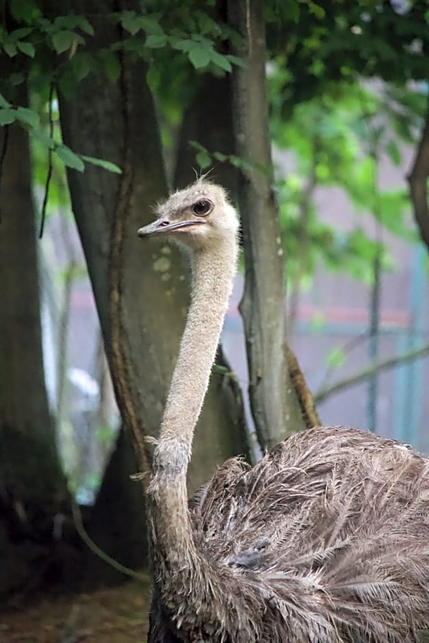 Polonezköy Country Club