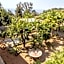 La BRIGNA B&B Il bosco sul mare