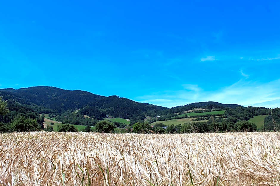 Landgasthof zum Schützen