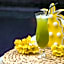 Novotel Mohammedia