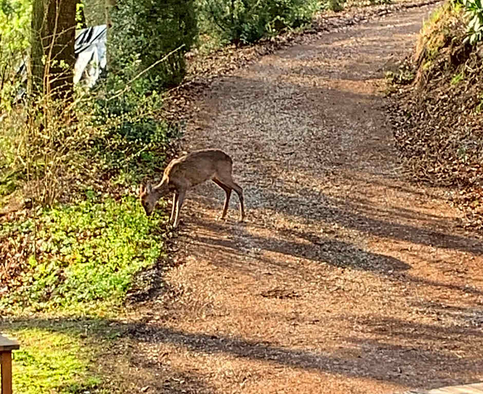 Berggasthof Tönsblick