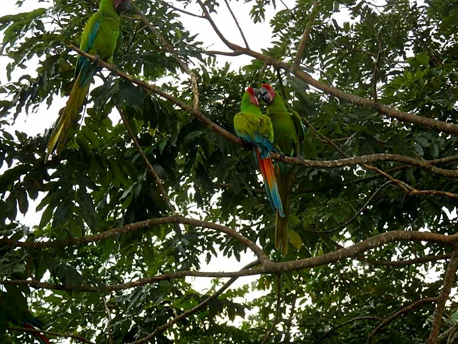 Hotel Casitas Mar y Luz