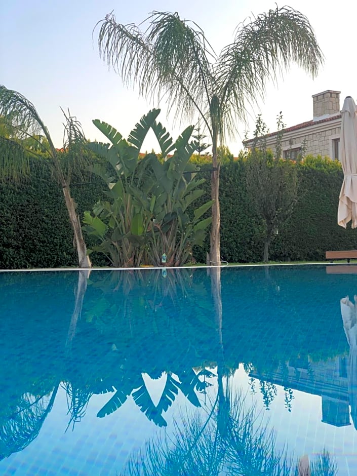 Triangulo Hotel
