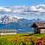 Sonnenhotel Adler Spa & Nature Adults only