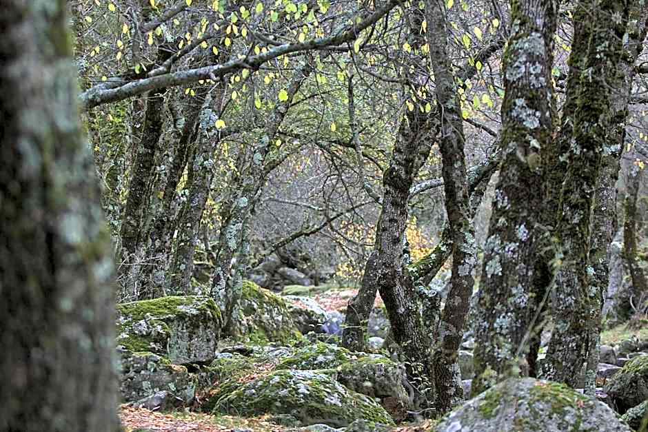 Hostel El Lago, Caceres