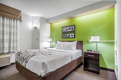 1 Queen Bed  No Smoking  Accessible Room