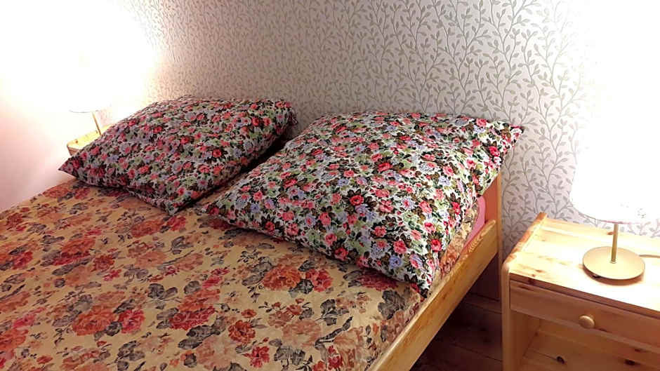 66 Szyszek