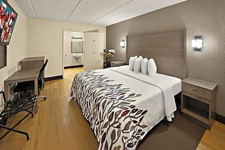 Standard Room with One Double Bed Disability Access Smoke Free