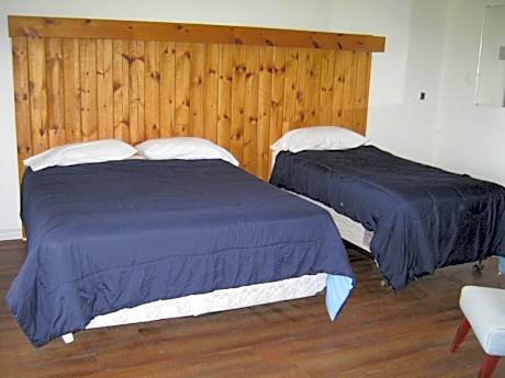 One-Bedroom Suite - Birchgrove 11