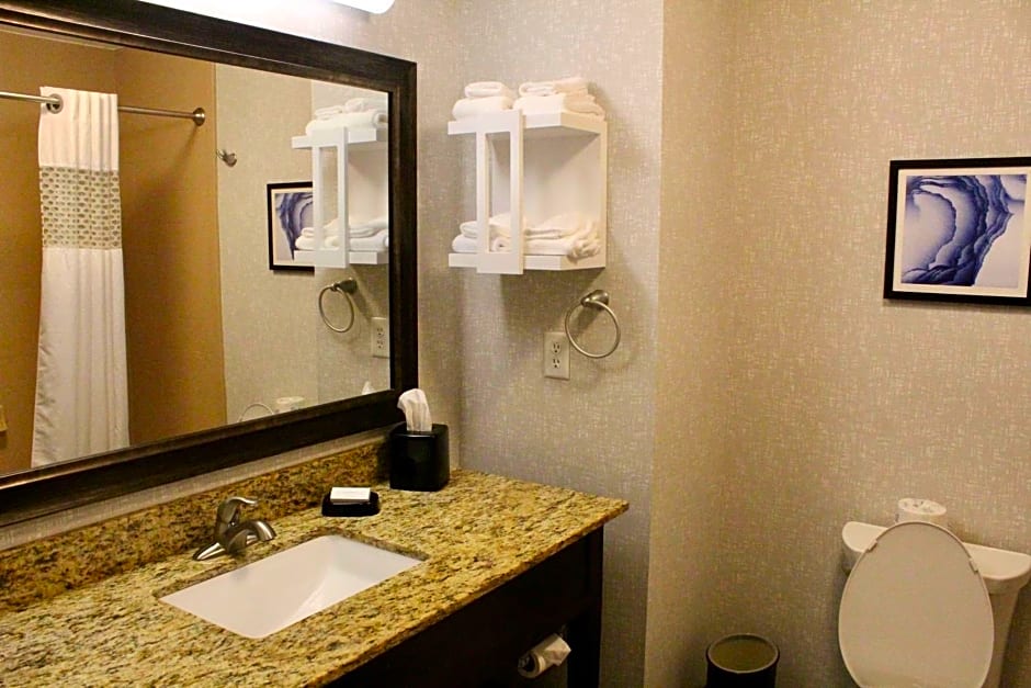 Hampton Inn By Hilton Indianapolis Nw/Zionsville