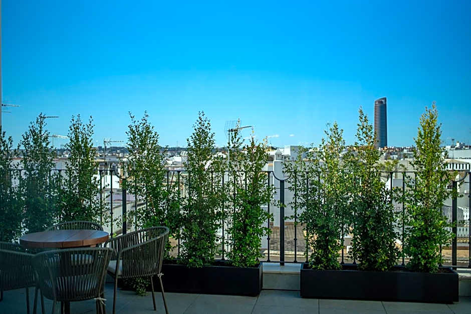 Soho Boutique Catedral 