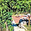 B&B CASAGRANDE