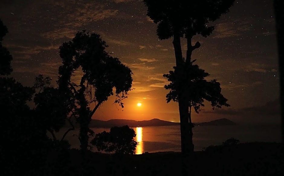 Atremaru Jungle Retreat